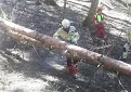 20190419_150148.jpg
