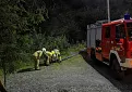 img_20200904_195931.jpg