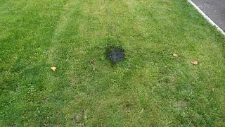 dsc_3739.jpg