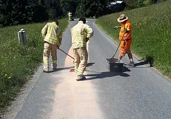 20190613_103223.jpg