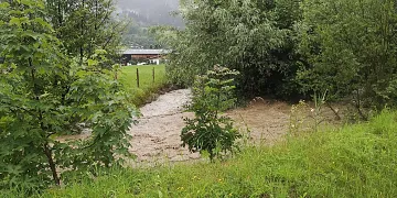 img_20200701_174346.jpg