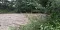 img_20200702_202210.jpg