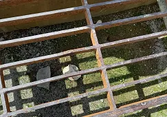 20220826_115643_1.jpg