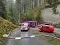20250329_brand_westendorf46.jpg
